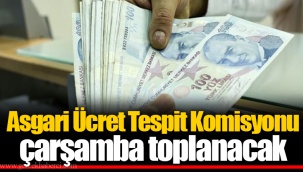Asgari Ücret Tespit Komisyonu çarşamba toplanacak