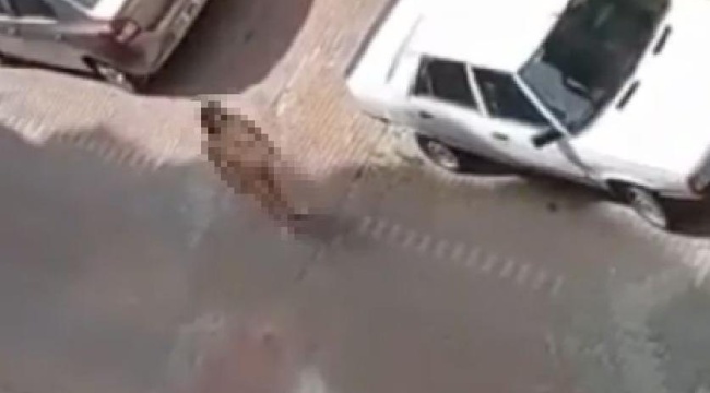 Aynı görüntü bu kez İzmit'ten geldi: Genç kadın sokak ortasında çırılçıplak dolaştı