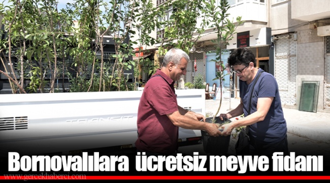 Bornovalılara  ücretsiz meyve fidanı
