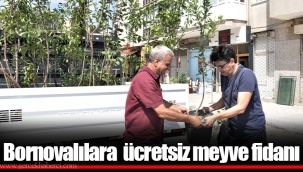 Bornovalılara ücretsiz meyve fidanı