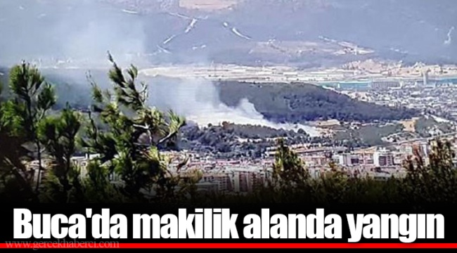 Buca'da makilik alanda yangın