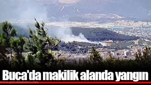 Buca'da makilik alanda yangın