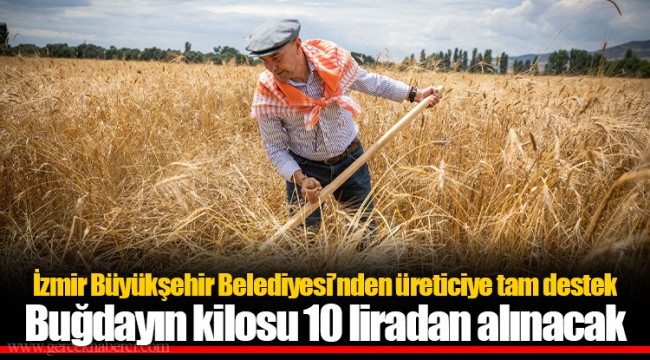 Buğdayın kilosu 10 liradan alınacak