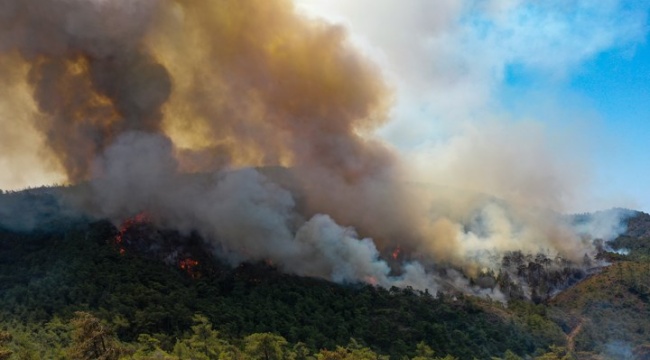 CHP'li Alban orman yangınlarındaki rant zincirini anlattı: Büyük bir 'organize işler' var