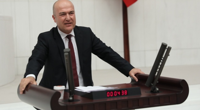 CHP’li Bakan’ın “kesilen palmiye ağaçları” önergesine yanıt geldi