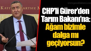 CHP’li Gürer’den Tarım Bakanı’na: Ağam bizimle dalga mı geçiyorsun?