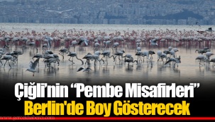 Çiğli’nin “Pembe Misafirleri” Berlin'de Boy Gösterecek