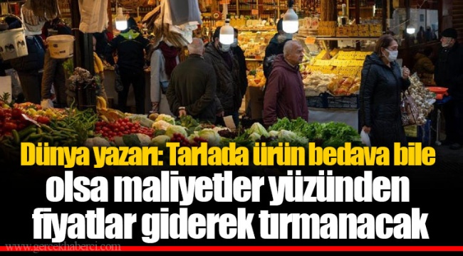 Dünya yazarı: Tarlada ürün bedava bile olsa maliyetler yüzünden fiyatlar giderek tırmanacak