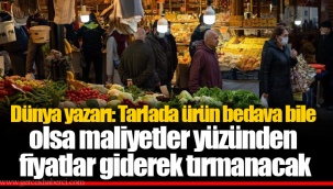 Dünya yazarı: Tarlada ürün bedava bile olsa maliyetler yüzünden fiyatlar giderek tırmanacak