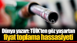 Dünya yazarı: TÜİK’ten göz yaşartan fiyat toplama hassasiyeti