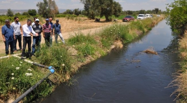 "Ege'nin en büyük çevre katliamı": Tarımsal sulama kanalına siyanür karıştı