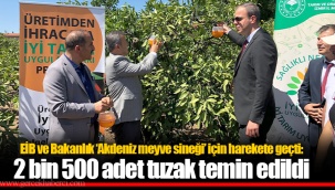 EİB ve Bakanlık ‘Akdeniz meyve sineği’ için harekete geçti: 2 bin 500 adet tuzak temin edildi