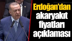 Erdoğan'dan akaryakıt fiyatları açıklaması
