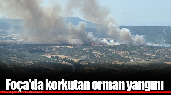 Foça'da korkutan orman yangını