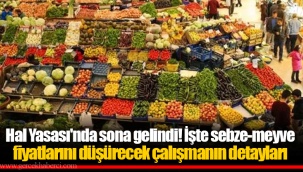 Hal Yasası'nda sona gelindi! İşte sebze-meyve fiyatlarını düşürecek çalışmanın detayları