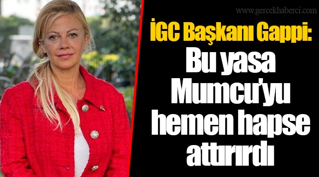 İGC Başkanı Gappi: Bu yasa Mumcu’yu hemen hapse attırırdı
