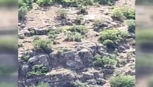 'İliç'teki altın madeninin siyanür borusu patladı, siyanür çevreye yayıldı' iddiası
