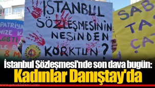İstanbul Sözleşmesi'nde son dava bugün: Kadınlar Danıştay'da
