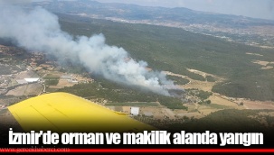 İzmir'de orman ve makilik alanda yangın