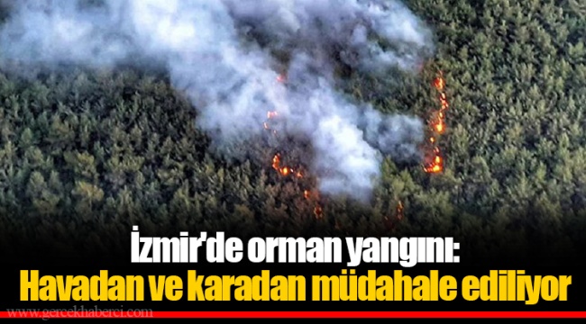 İzmir'de orman yangını: Havadan ve karadan müdahale ediliyor
