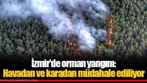 İzmir'de orman yangını: Havadan ve karadan müdahale ediliyor