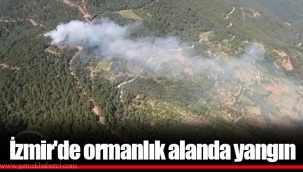 İzmir'de ormanlık alanda yangın