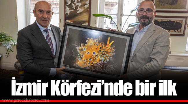 İzmir Körfezi’nde bir ilk