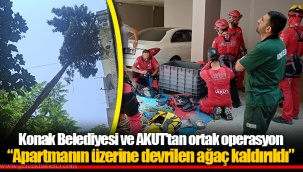Konak Belediyesi ve AKUT’tan ortak operasyon “Apartmanın üzerine devrilen ağaç kaldırıldı”
