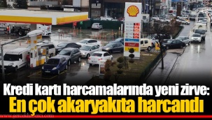 Kredi kartı harcamalarında yeni zirve: En çok akaryakıta harcandı