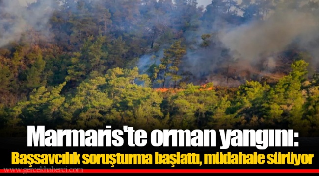 Marmaris'te orman yangını: Başsavcılık soruşturma başlattı, müdahale sürüyor