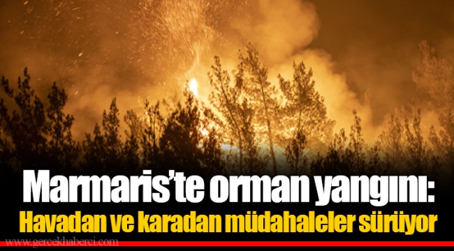 Marmaris’te orman yangını: Havadan ve karadan müdahaleler sürüyor