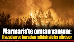 Marmaris’te orman yangını: Havadan ve karadan müdahaleler sürüyor