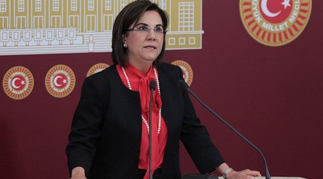 Memleket Partisi'nden istifa eden Gaye Usluer'den açıklama