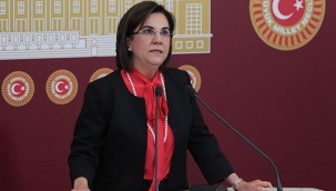 Memleket Partisi'nden istifa eden Gaye Usluer'den açıklama