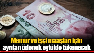 Memur ve işçi maaşları için ayrılan ödenek eylülde tükenecek