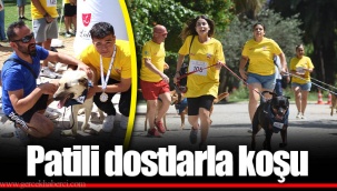 Patili dostlarla koşu