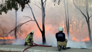 Sasalı Doğal Yaşam Parkı'ndaki yangın kontrol altına alındı