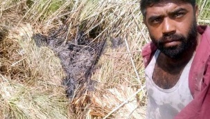 Sazlık yangını şüphelisi: Delil olması için bölgede selfie yaptım