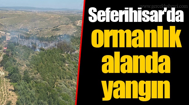 Seferihisar'da ormanlık alanda yangın