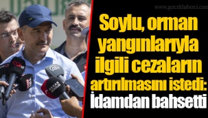 Soylu, orman yangınlarıyla ilgili cezaların artırılmasını istedi: İdamdan bahsetti