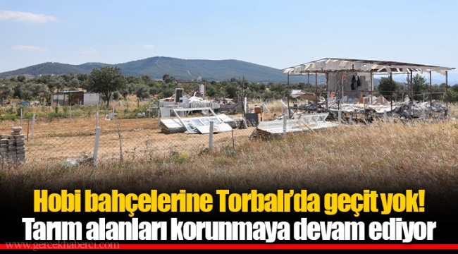 Tarım alanları korunmaya devam ediyor