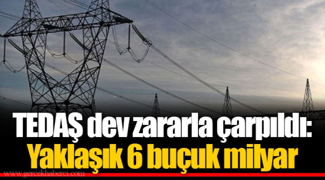 TEDAŞ dev zararla çarpıldı: Yaklaşık 6 buçuk milyar