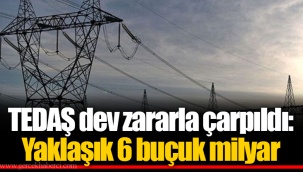 TEDAŞ dev zararla çarpıldı: Yaklaşık 6 buçuk milyar