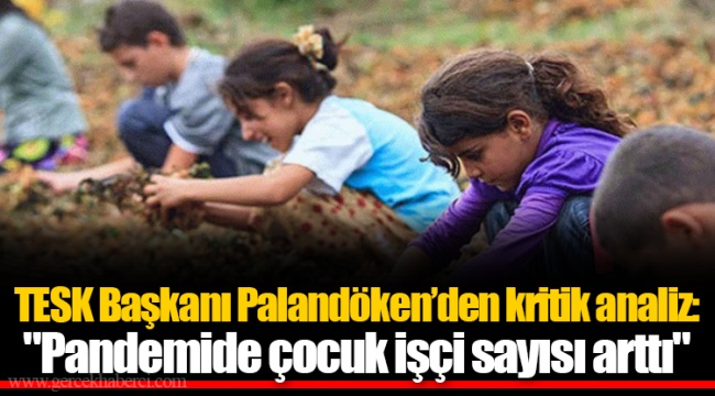 TESK Başkanı Palandöken’den kritik analiz: "Pandemide çocuk işçi sayısı arttı"