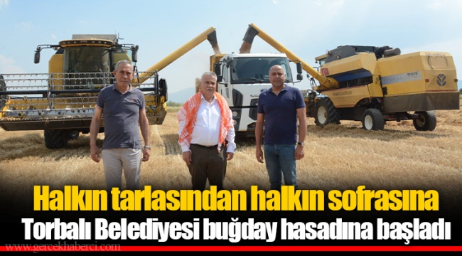 Torbalı Belediyesi buğday hasadına başladı