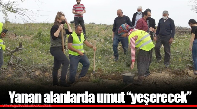 Yanan alanlarda umut “yeşerecek”