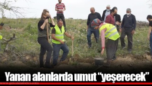 Yanan alanlarda umut “yeşerecek”