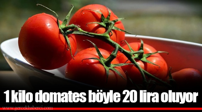 1 kilo domates böyle 20 lira oluyor