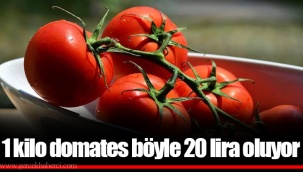 1 kilo domates böyle 20 lira oluyor
