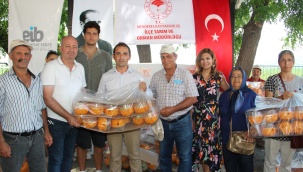 Akdeniz meyve sineği ile mücadelede ihracatçı üreticiye destek elini uzattı